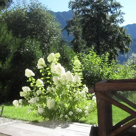 Alpenfewo Oberstdorf